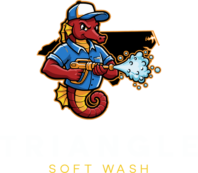 Triangle Soft Wash